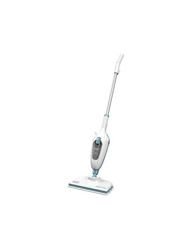 5in1 steam cleaner FSMH13E5, steam cleaners