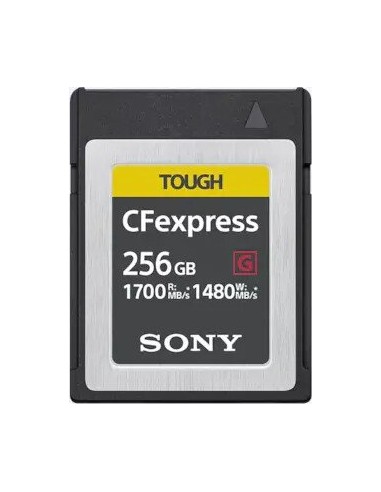 Sony CFexpress Type B      256GB