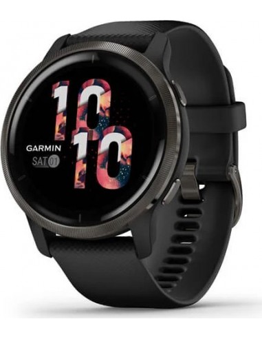 Garmin Venu 2 black/schist