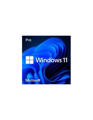 Windows 11 Pro, operating system software