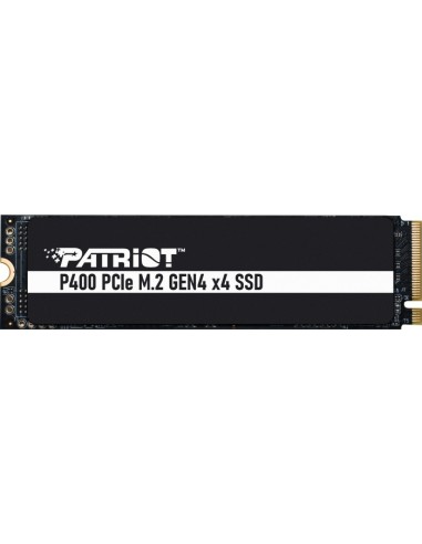 P400 1TB, SSD