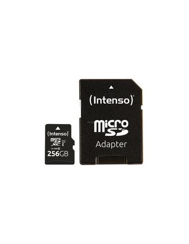 Intenso microSDXC          256GB Class 10 UHS-I U1 Performance