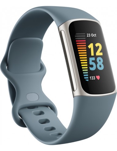 Fitbit Charge 5 Steel Blue / Platinum