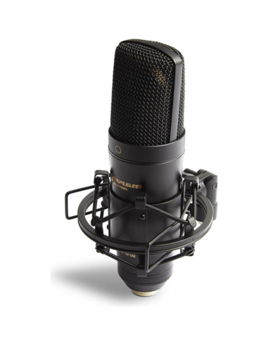 Marantz USB condenser microphone MPM2000U