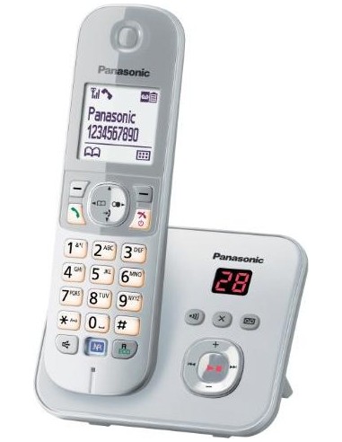 Panasonic KX-TG6821GS, analog phone (KX-TG6821GS)