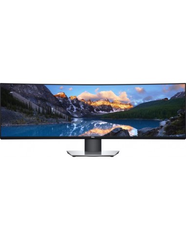 Dell U4919DW