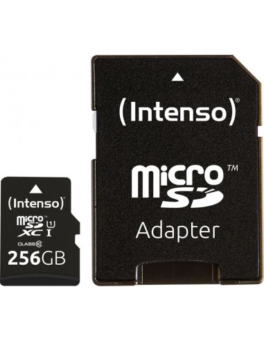 Premium 256 GB microSDHC, Memory Card