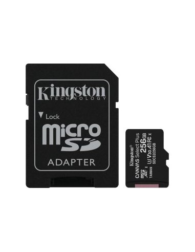 R100 256 GB microSDHC, Memory Card