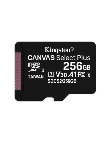 Canvas Select Plus 256 GB microSDHC, Memory Card