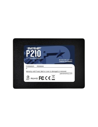 P210 2TB SSD