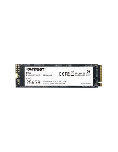 P300 256GB SSD