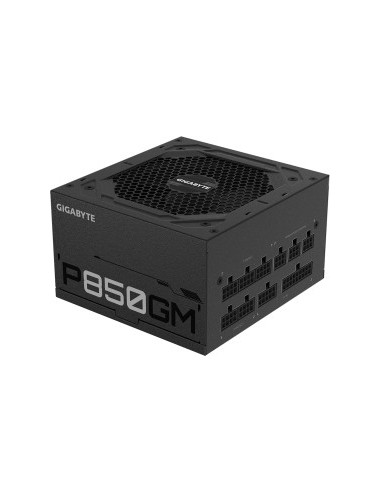 GP P850GM, PC Power Supply